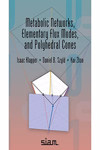 Metabolic Networks, Elementary Flux Modes, and Polyhedral Cones