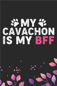 My Cavachon Is My BFF