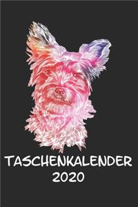 Taschenkalender 2020