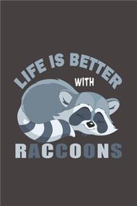 Life Is Better With Raccoons