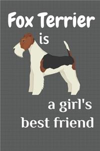 Fox Terrier is a girl's best friend