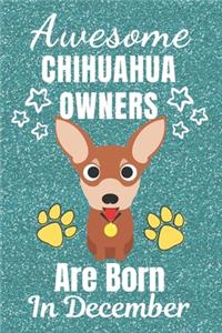 Awesome Chihuahua Owners Are Born In December