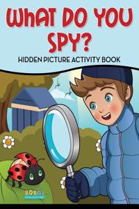 What Do You Spy? Hidden Picture Activity Book