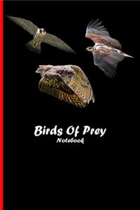 Birds Of Prey Notebook