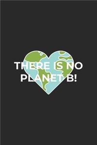 There is no Planet B