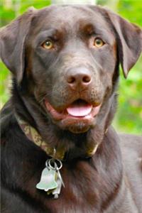 2020 Weekly Planner Dog Puppy Retriever Chocolate Lab 134 Pages