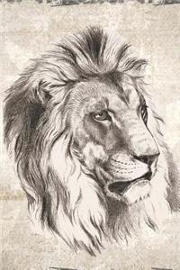 Lion Notebook