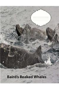 Baird's Beaked Whales Wide Ruled Line Paper Composition Book