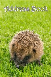 Address Book: Hedgehogs - Bespoke, personalised address book. Contact us if you would like your own image, name or other text on a book.