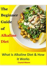 The Beginner Guide of Alkaline Diet: What Is Alkaline Diet & How It Works