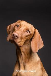 For Vizsla Lovers