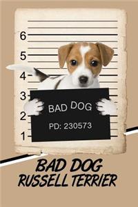 Bad Dog Russell Terrier