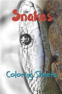 Snake Coloring Sheets