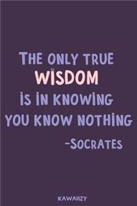 The Only True Wisdom Is in Knowing You Know Nothing - Socrates