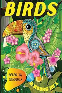 Color By Numbers Birds 2 Books in 1
