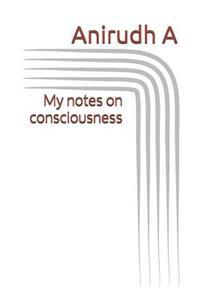 My Notes on Consciousness