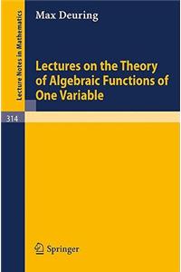 Lectures on the Theory of Algebraic Functions of One Variable