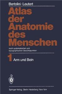 Atlas Der Anatomie Des Menschen