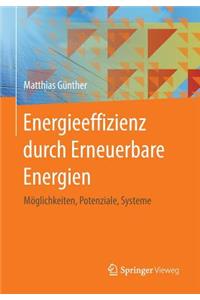 Energieeffizienz Durch Erneuerbare Energien