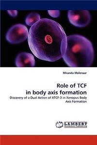 Role of Tcf in Body Axis Formation