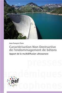 Caractérisation Non Destructive de l'Endommagement de Bétons