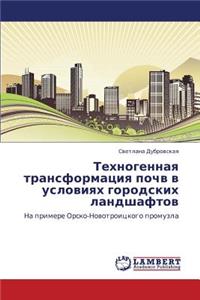 Tekhnogennaya Transformatsiya Pochv V Usloviyakh Gorodskikh Landshaftov