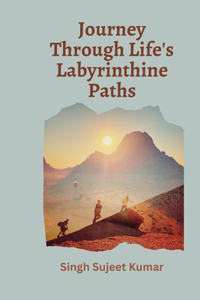 Journey through life's labyrinthine paths