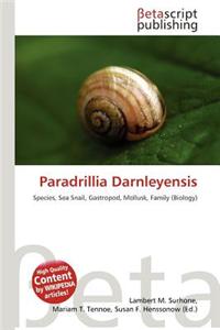 Paradrillia Darnleyensis