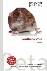 Southern Vole