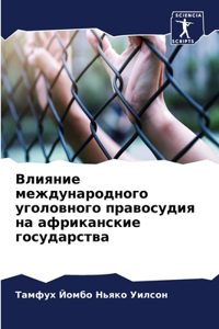 Влияние международного уголовного право&