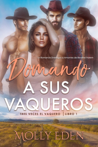 Domando a sus Vaqueros
