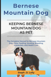 Bernese Mountain Dog