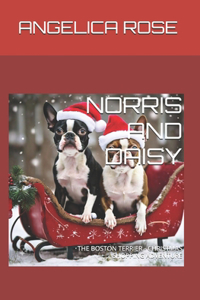 Norris and Daisy: The Boston Terrier - Christmas Shopping Adventure