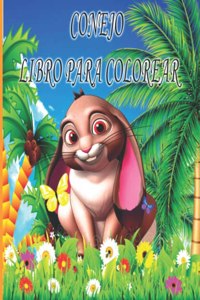 Conejo Libro Para Colorear