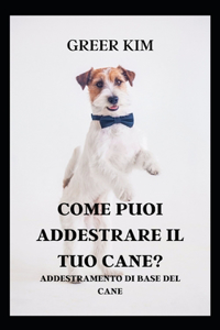 Come Puoi Addestrare Il Tuo Cane?