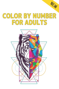 Color by Number Adults