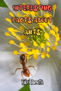 Interesting Facts about Ants