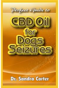 Perfect Guide to CBD Oil for Dogs Seizures