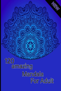 120 amazing mandala for adults