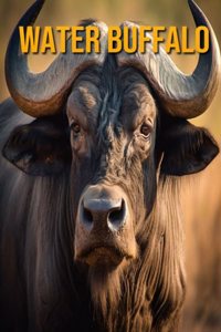 Water Buffalo