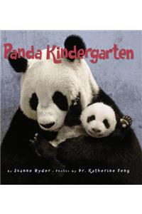 Panda Kindergarten