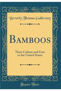 Bamboos: Their Culture and Uses in the United States (Classic Reprint)