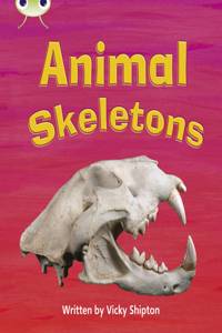 Bug Club Phonics Non-Fiction Year 1 Phase 5 Set 17 Animal Skeletons