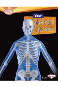 Your Skeletal System