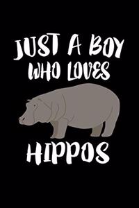 Just A Boy Who Loves Hippos