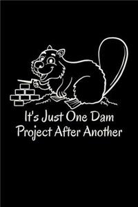 It's Just One Dam Project After Another