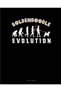 Goldendoodle Evolution
