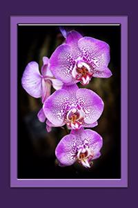 Orchids Notebook
