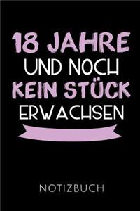 18 Jahre Notizbuch