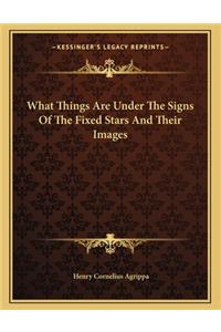 What Things Are Under the Signs of the Fixed Stars and Their Images